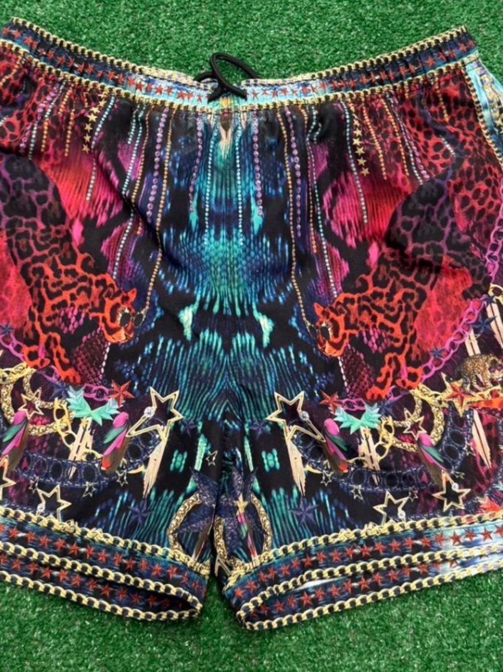 Camilla Men’s Multicolor Printed Swim Trunks - Picture 1 of 8